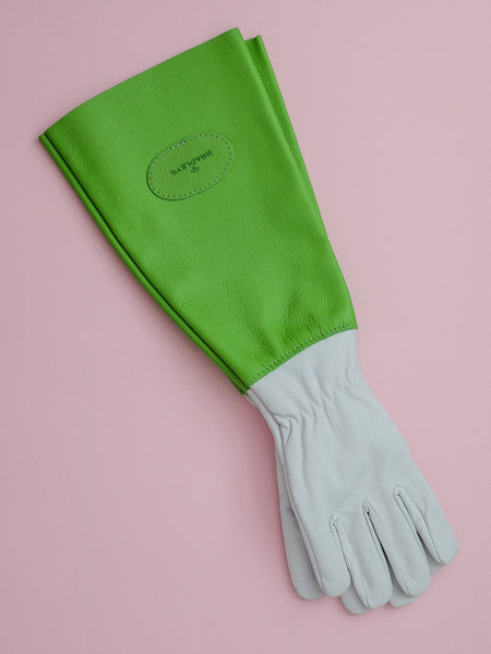 Ladies Anti Bramble Gloves