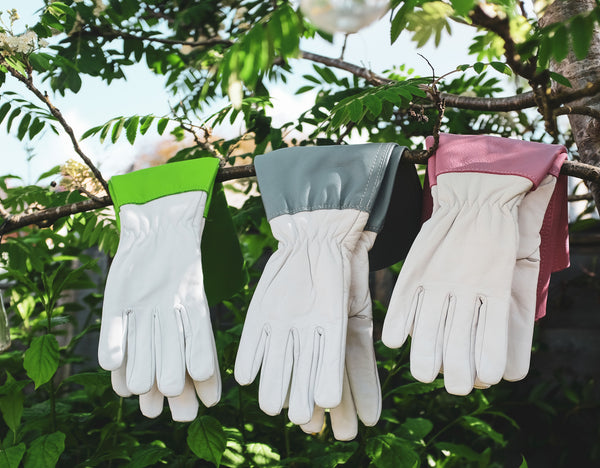 Ladies Anti Bramble Gloves