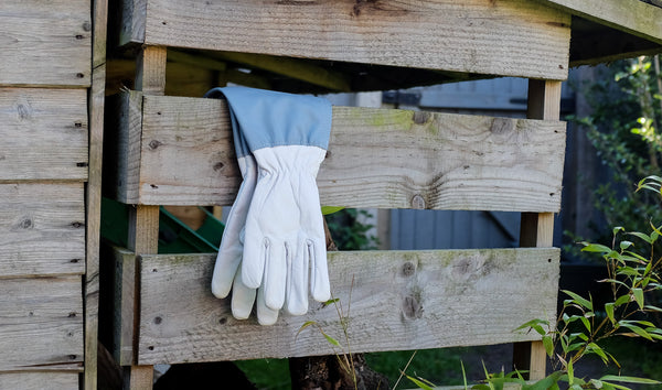 Ladies Anti Bramble Gloves