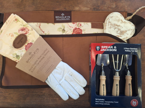 Ann Apron Bundle