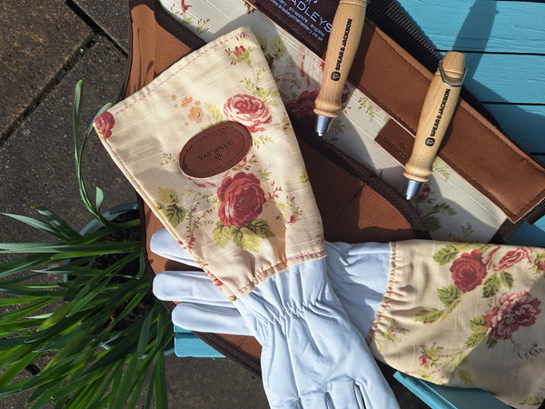Ann Apron Bundle