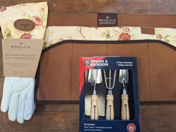 Ann Apron Bundle