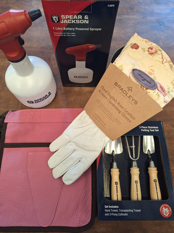 Battery Sprayer Bundle