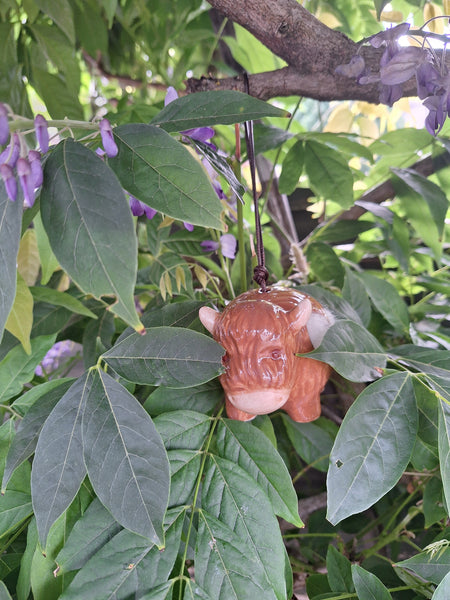 Highland Cow Bird Wool Hanger