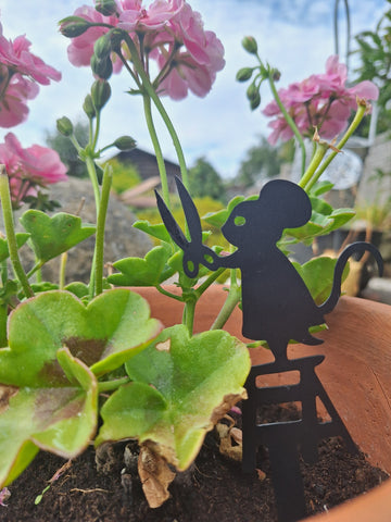 Plant Mouse